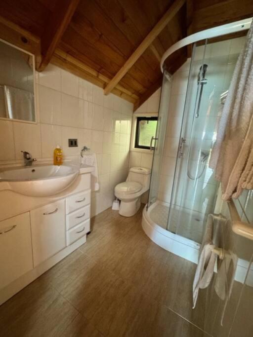Apartamento Loft Frente A La Playa Y Teatro Frutillar