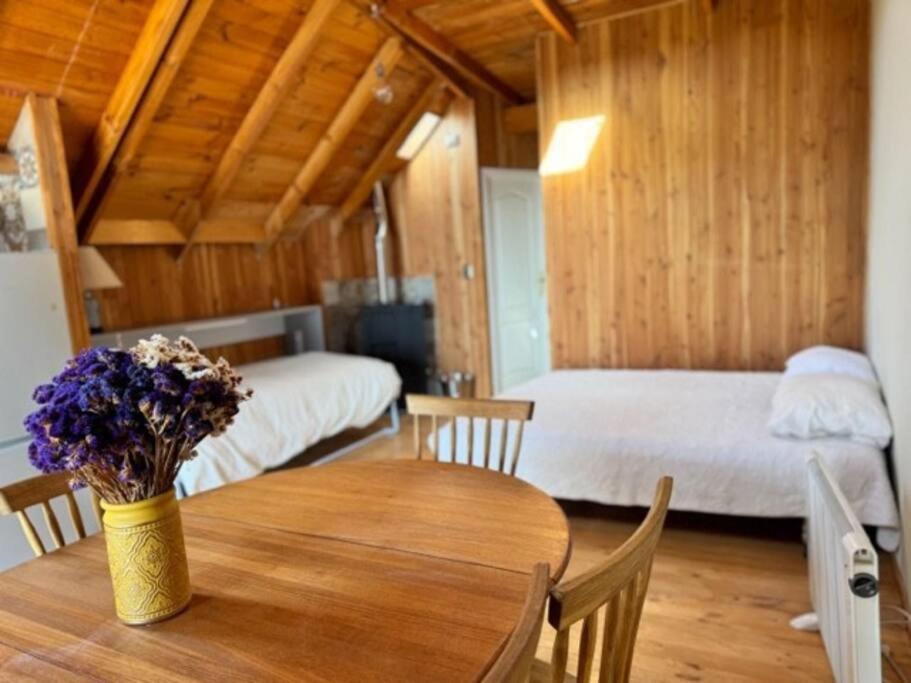 Loft Frente A La Playa Y Teatro Apartamento *